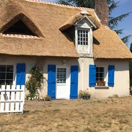 Chaumiere Avec Sa Toiture Recouverte De Chaume !!! Donnemain-Saint-Mames Экстерьер фото