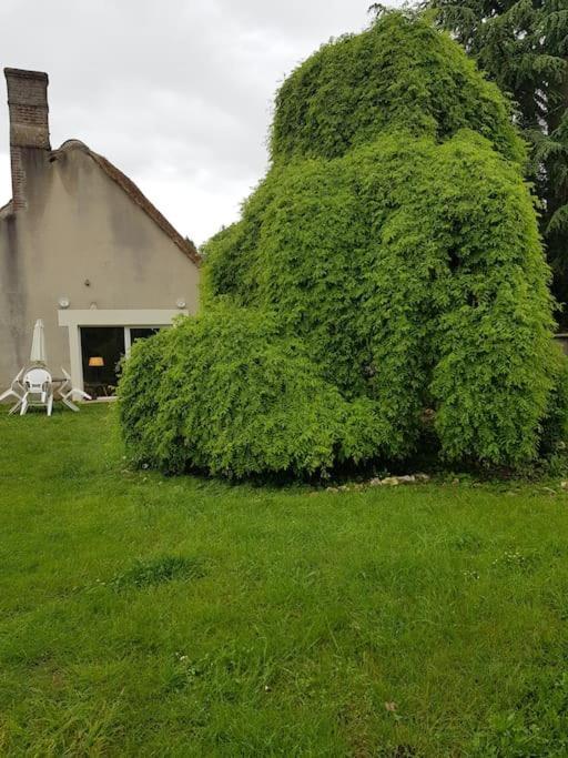 Chaumiere Avec Sa Toiture Recouverte De Chaume !!! Donnemain-Saint-Mames Экстерьер фото